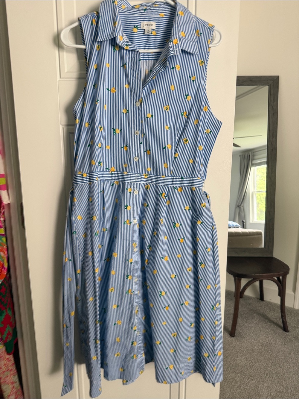 EUC Blue & White Striped Sleeveless Shirt Dress with Lemon Print
